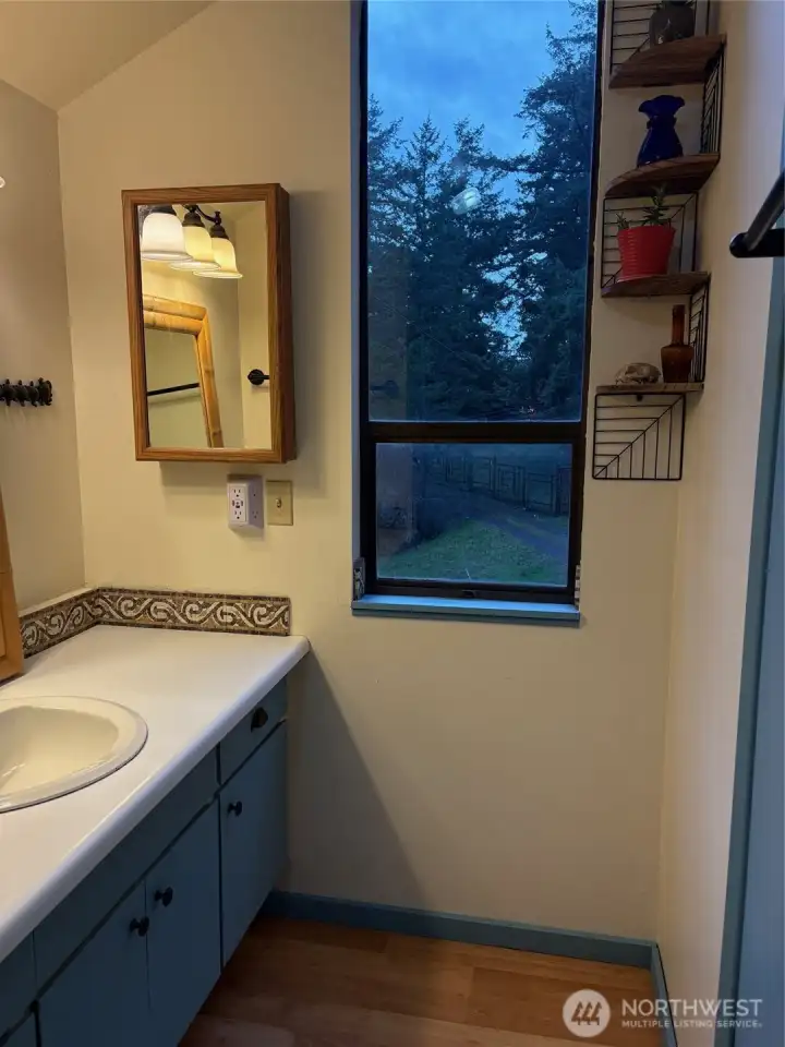 Upstairs bathroom with a view!