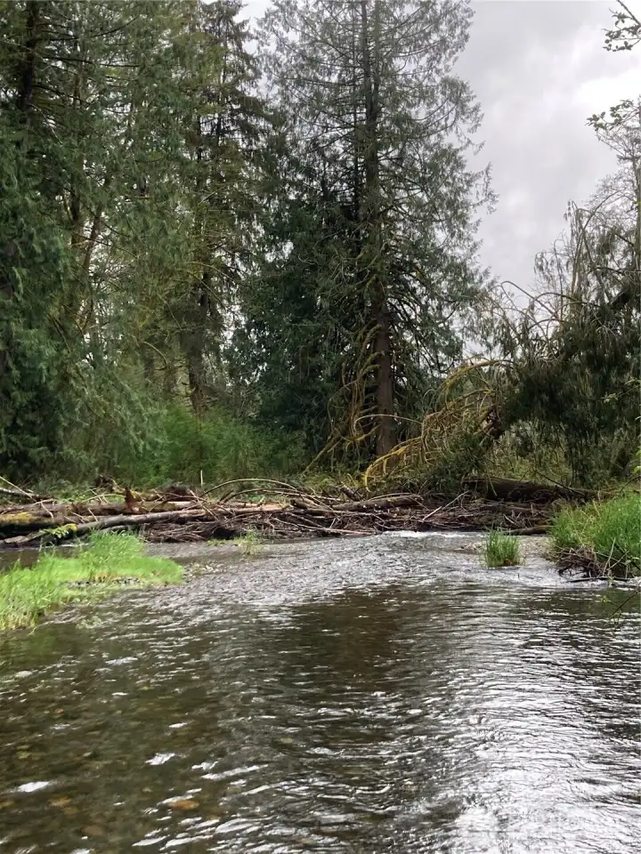 ...and even MORE Creek!