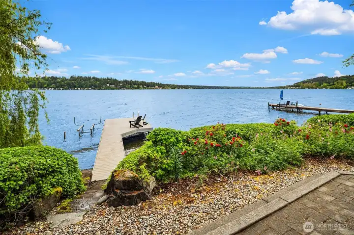Back patio and path to the dock