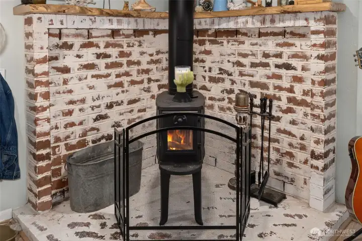 Wood burning fireplace