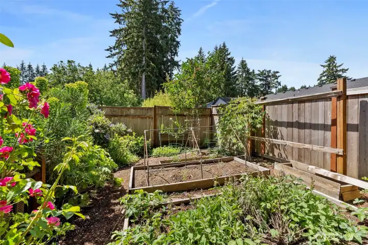 Garden Space