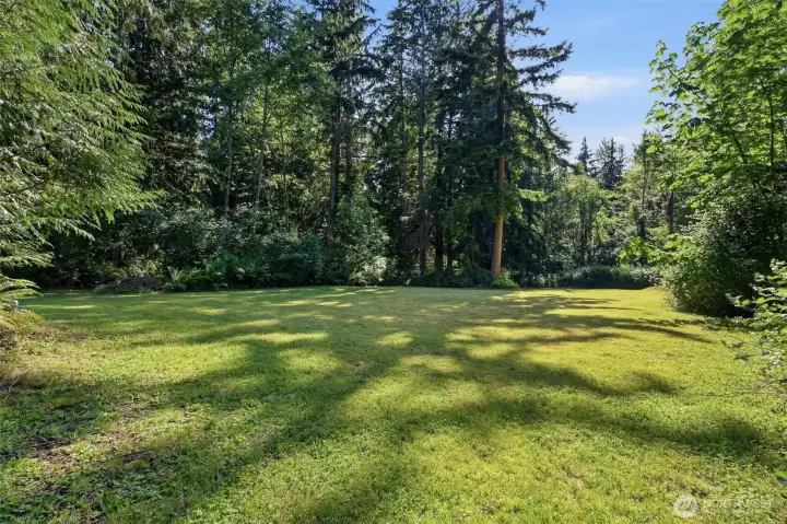 Flat back yard space