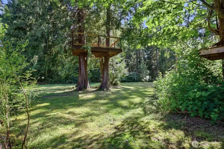 Treehouse is ready for you