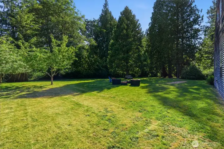 Yard space to roam