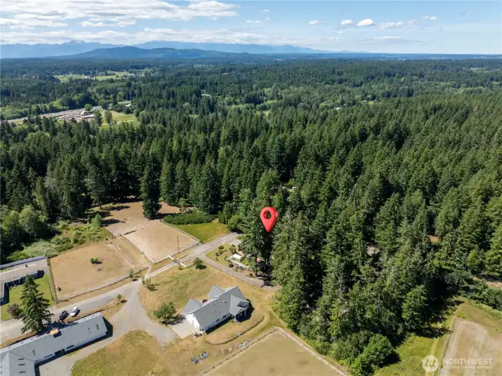 This residence to nestle in nature trees and foliage.  Experience the beauty of country life with horses nearby and a working equestrian facility next door.