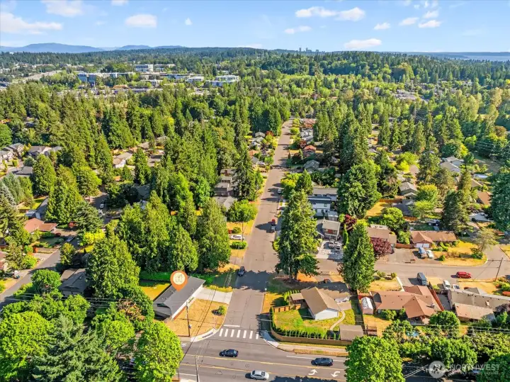 Lovely residential street.