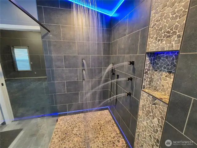 Amazing walk in shower