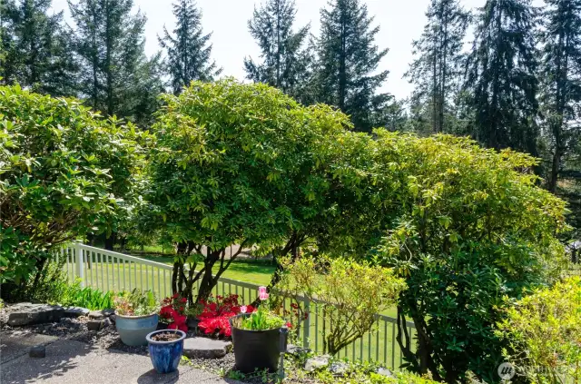 Garden area off the back patio.