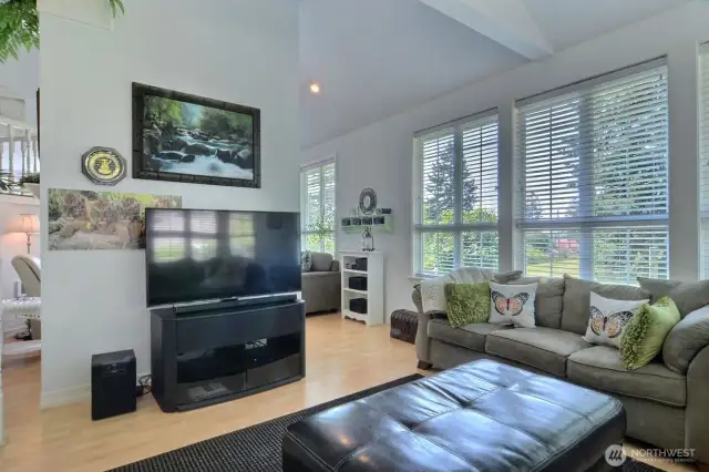 Notice the windows in the living room.