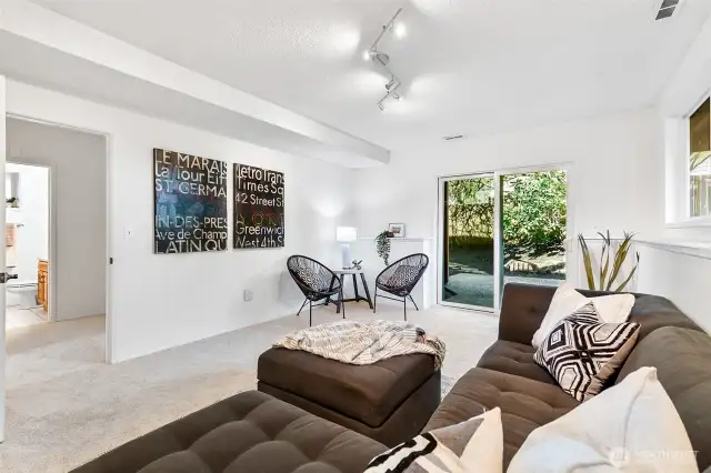 Lower Level Family Room