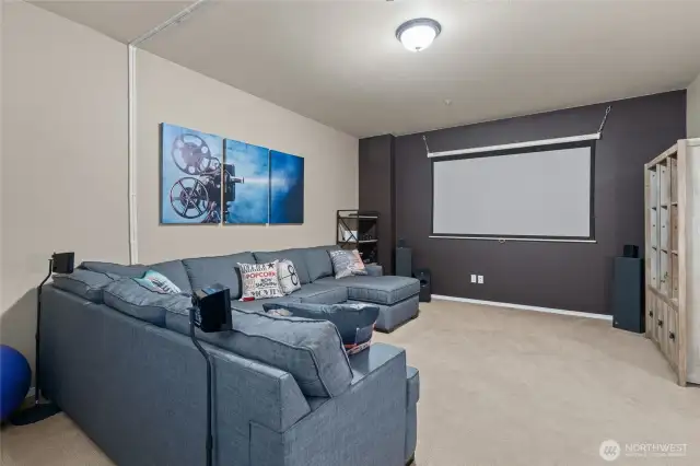 Lower level media room