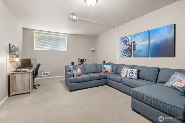 Lower level media room