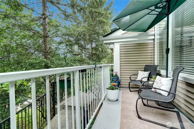 Back deck - greenbelt