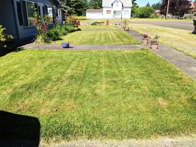 Easy care front lawn with sidewalks.