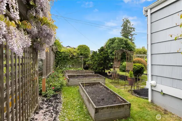 Raised beds to grow your own vegetables!