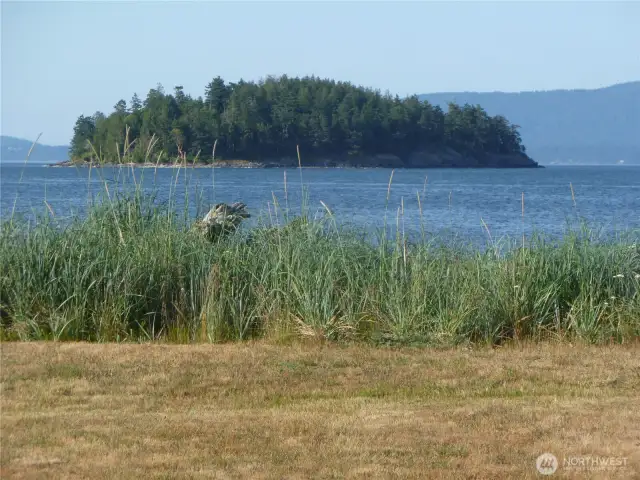 Grass, beach grass, beach, islands!  And Jack Island.