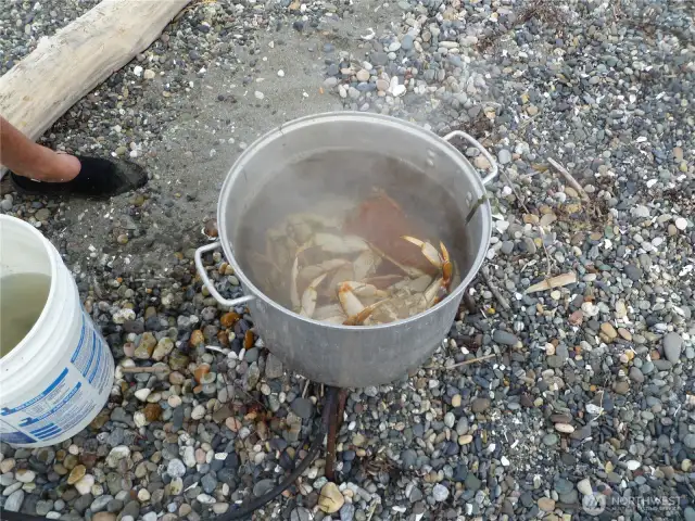 Cookin up the Dungies!