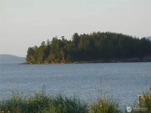 See the madrona getting lit up by impending sunset?  And, you can fairly easily row or kayak to Jack.