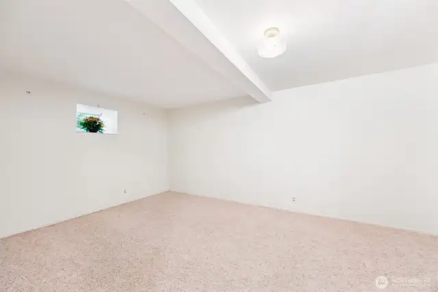 Lower Level bonus room - non conforming bed #4