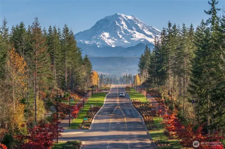 Amazing trails with this view!