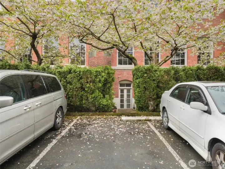 Close-up of your entry in front of visitor parking space #63- hedge helps to retain privacy.