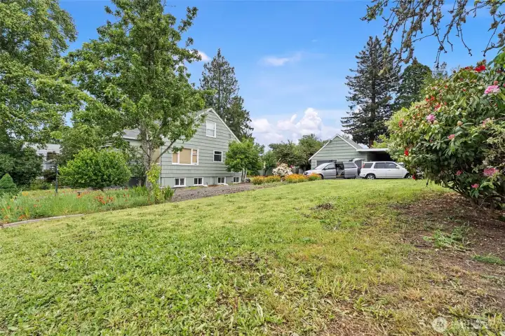 Side Yard