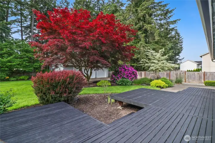 The view from the large back deck is simply lovely.