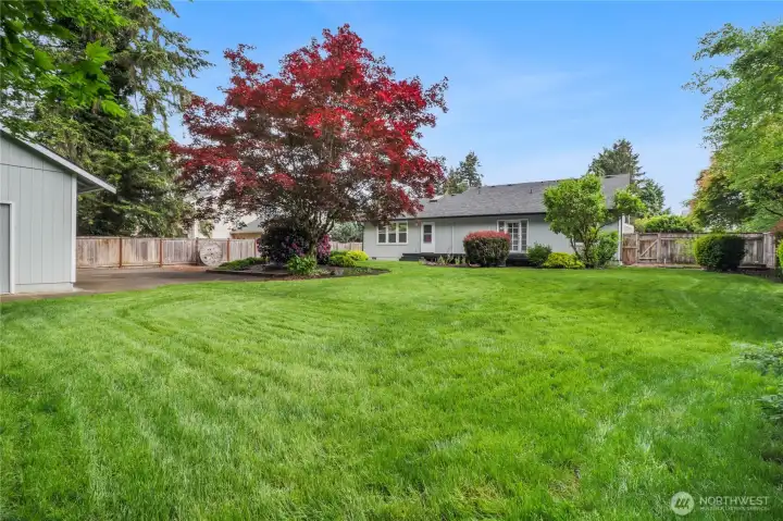 Enjoy all this full half acre has to offer!