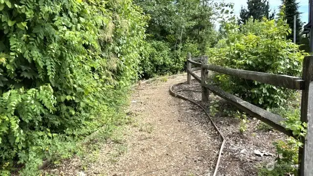 Trail adjacent to the community