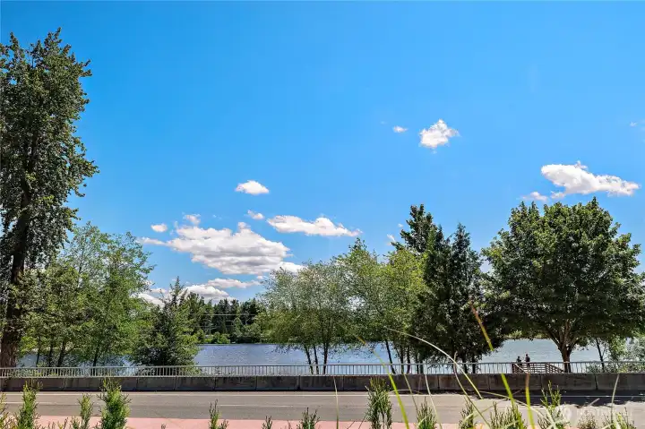 Silver Lake view
