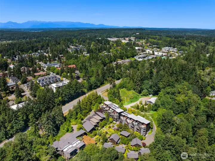 Convenient to shops, markets, coffeeshops, Bainbridge Performing Arts, the Aquatic Center, medical services, restaurants! Welcome home!! Convenient to shops, markets, coffeeshops, Bainbridge Performing Arts, the Aquatic Center, medical services, restaurants! Welcome home!!