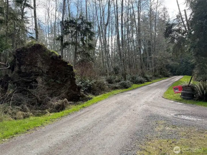 Shot taken roughly where the one acre parcel is located. Shot taken roughly where the one acre parcel is located.