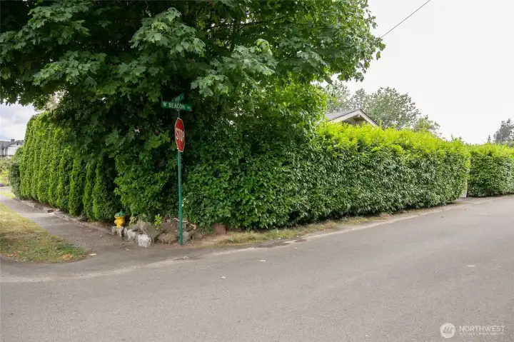 Mature landscape creates ultra private yard. Mature landscape creates ultra private yard.
