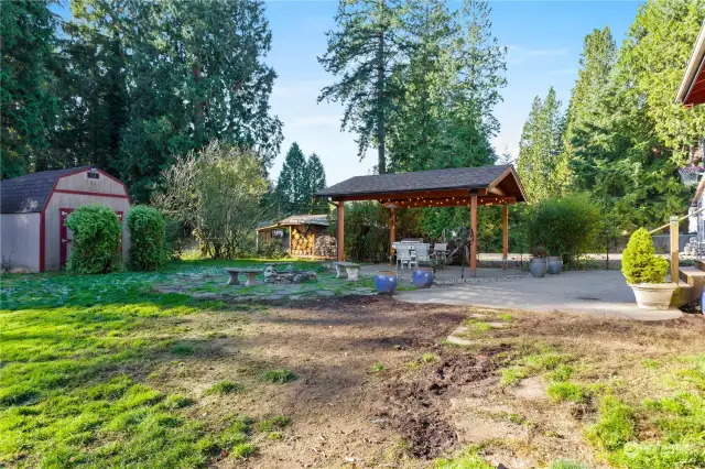 Back of Yard