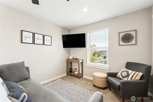 Greta as a TV or game room