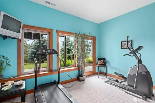 Downstairs Bedroom/Workout Room