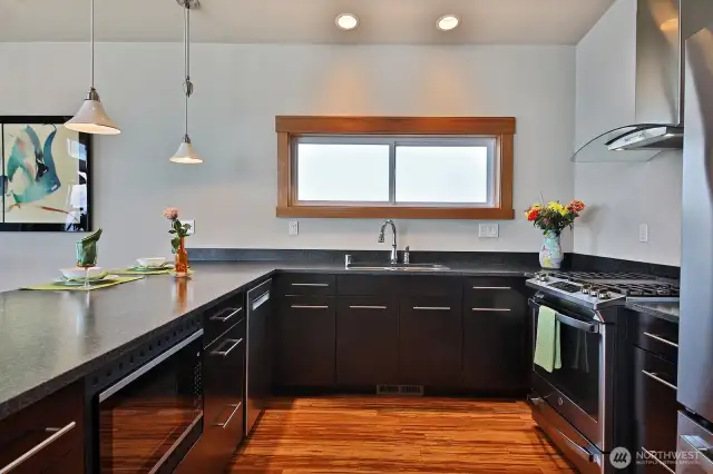 Propane stove, dishwasher, microwave & refrigerator.