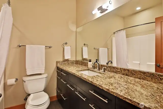 Lower level - Full bath.