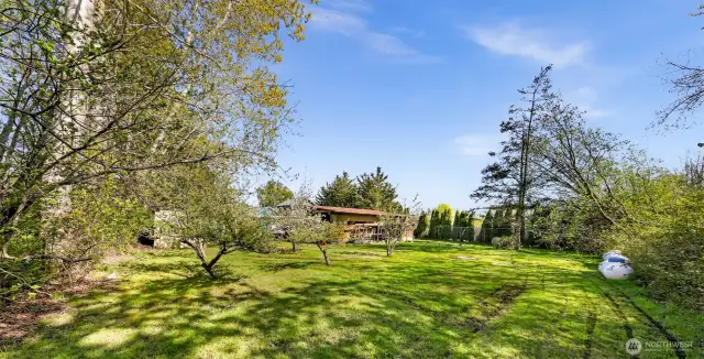 Back portion of lot includes grassy clearing and fruit trees.
