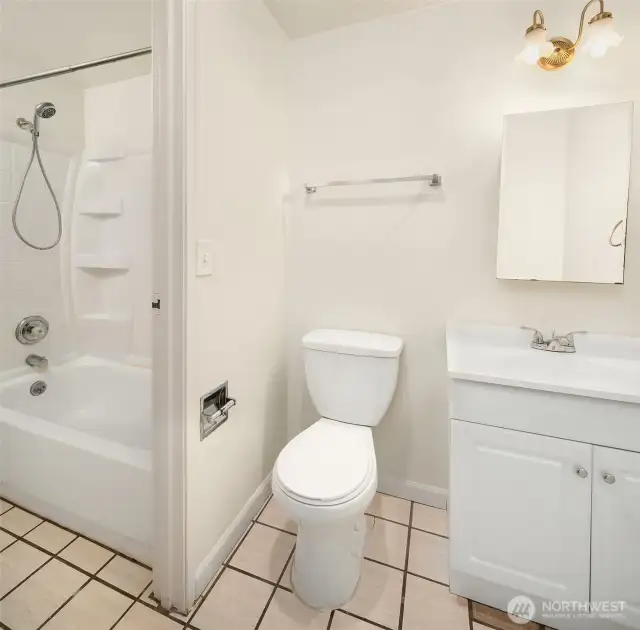Jack and Jill Bathroom extension for guests