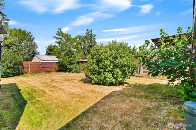 Large flat lot potentially buildable
