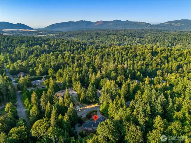 Breathtaking aerial view showcasing the property’s peaceful, wooded surroundings—experience the best of Maple Valley living