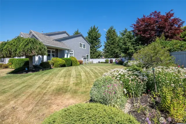 Large side yard with beautiful plantings.