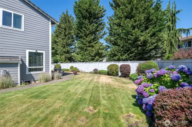 Side yard with sidewalk to rear yard