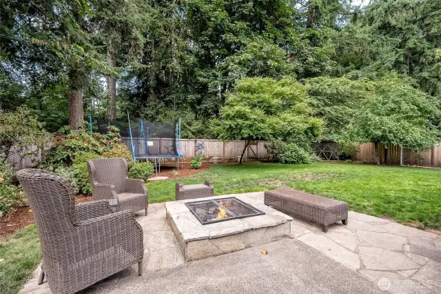 Built in fireplace in backyard, plus highly producing apple trees