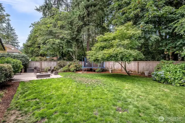 Wonderfully private backyard with large patio