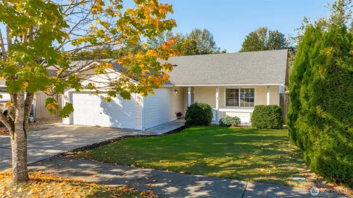 Large front yard