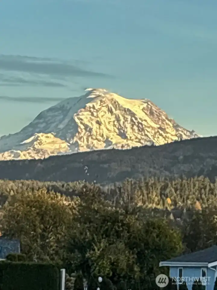 This picture was taken from the bonus room window.