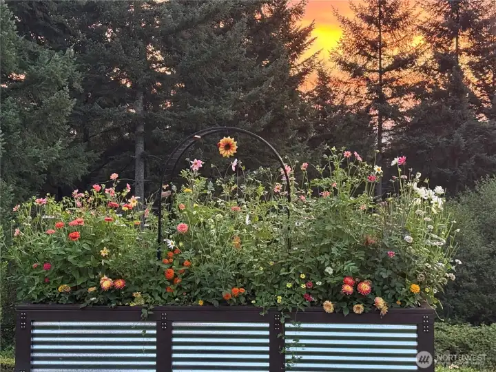 Part of the land for sale lies to the east of this planter, Most of ther trees are on the subject land parcel.