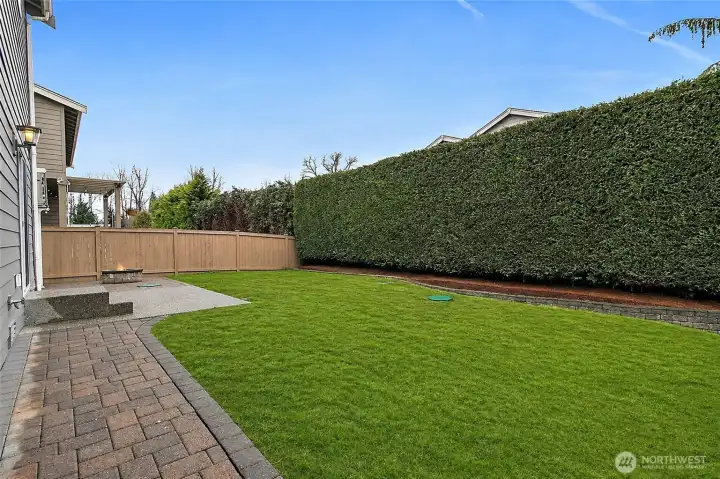 Backyard with privacy trees.